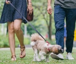 Busy? Here is how to sneak more exercise into your day